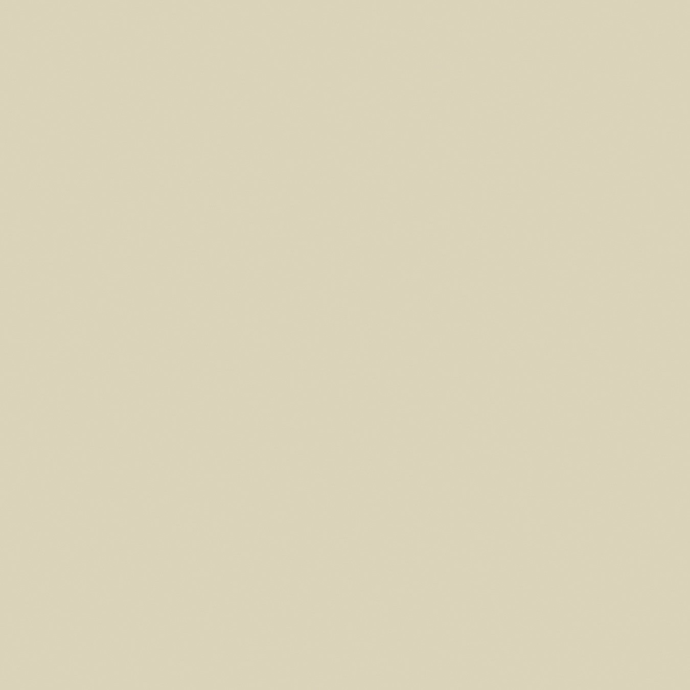 Echantillon d'image du coloris : Bone