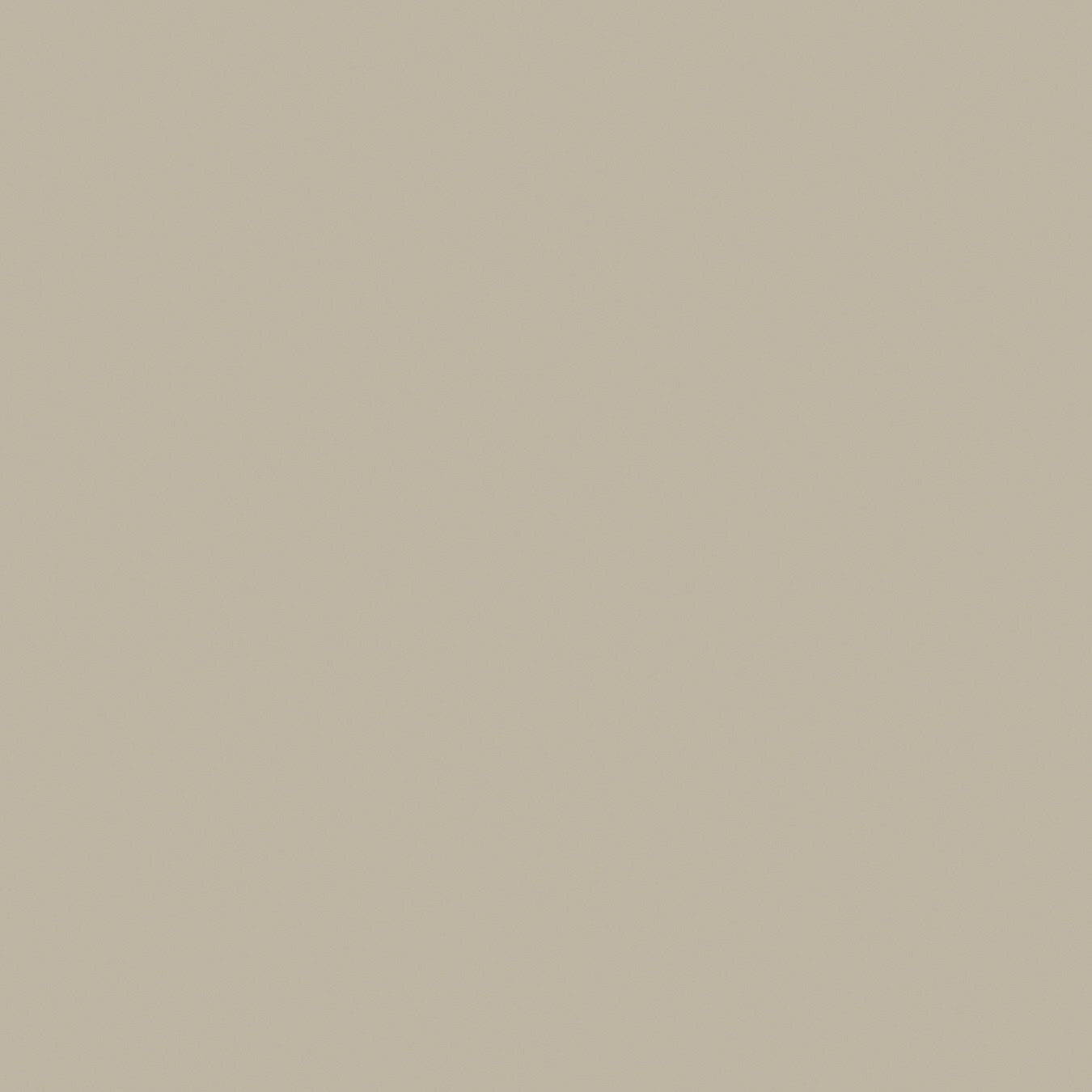 Echantillon d'image du coloris : Elegant Gray