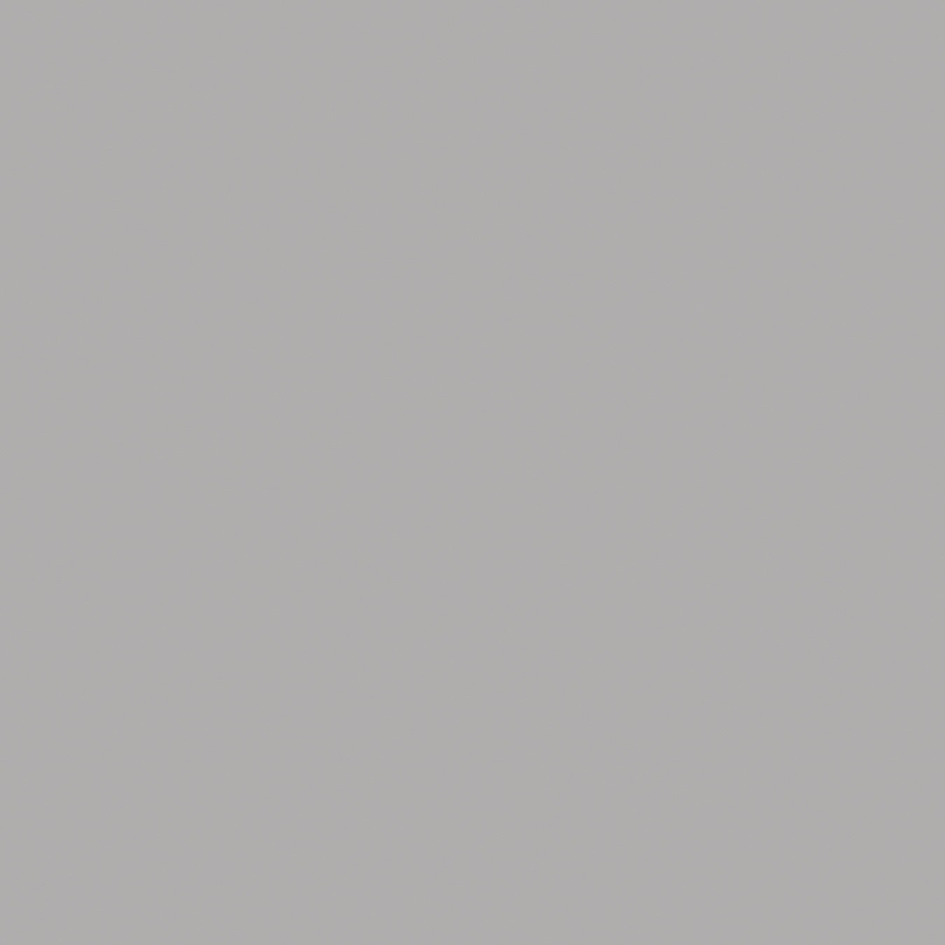 Echantillon d'image du coloris : Silver Gray