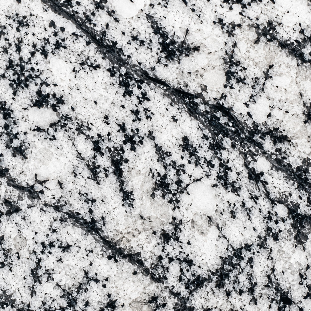 Echantillon d'image du coloris : White Orion